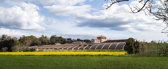Perelada - winery roof